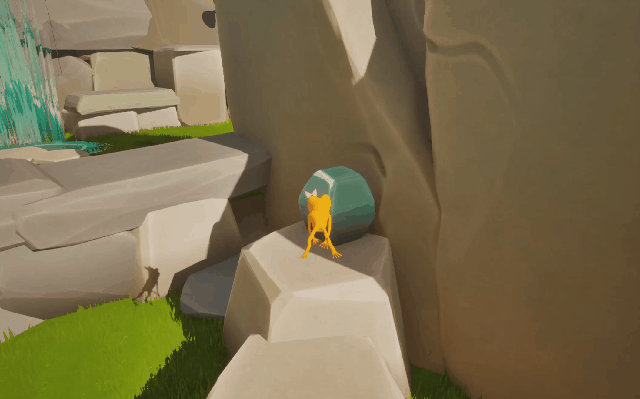 Frog Carrying a Rock